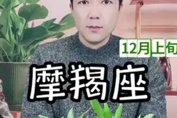 摩羯座解析及日期范围解读-红迪亚