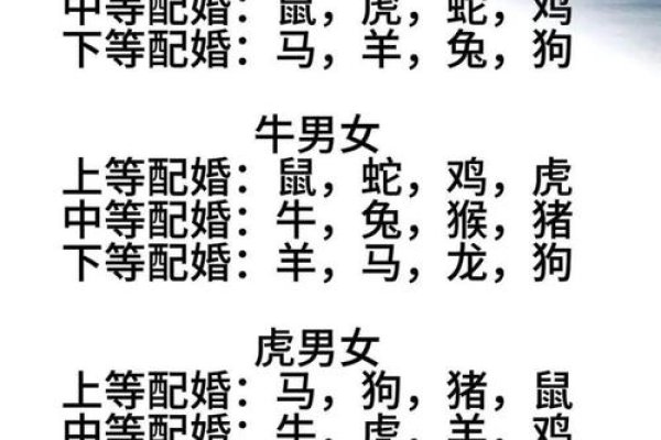 属鼠男女婚配关系解析，最佳配对与相性分析标题，男属鼠女属龙，婚姻美满；男鼠女猴、鸡等也佳。-红迪亚