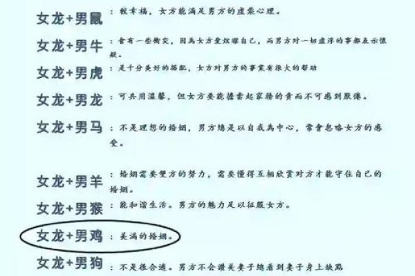 200年属龙生肖详解与婚配指南-红迪亚