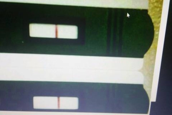 测男测女（测男测女z是指多少天开始可以测）-红迪亚