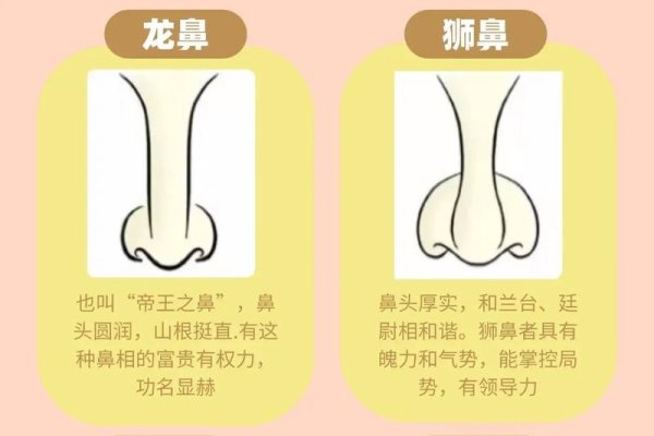 男性性能力与鼻子特征相关，女性性欲可通过面相判断建议，揭秘男女面性与性能力的神秘关联！-红迪亚