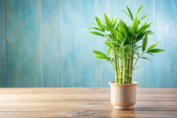 幽雅,清静高雅的描述。-红迪亚