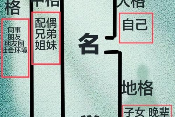 刘梓菡天格解析，土土木木吉-红迪亚