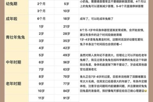 1987年出生属兔人2024年年龄计算详解-红迪亚