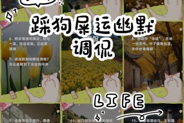 踩狗屎，好运还是坏运？-红迪亚