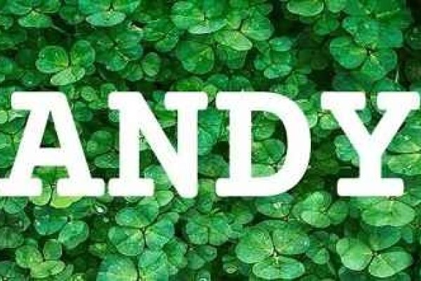 Andy的中文含义及发音指南，关于英文名字Andy的详细解读与音译介绍-红迪亚