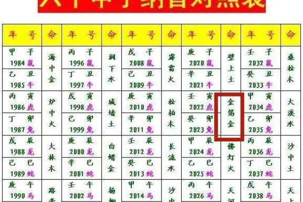2023年属兔年五行解析，水兔之命，详解农历月份对五行的不同影响-红迪亚
