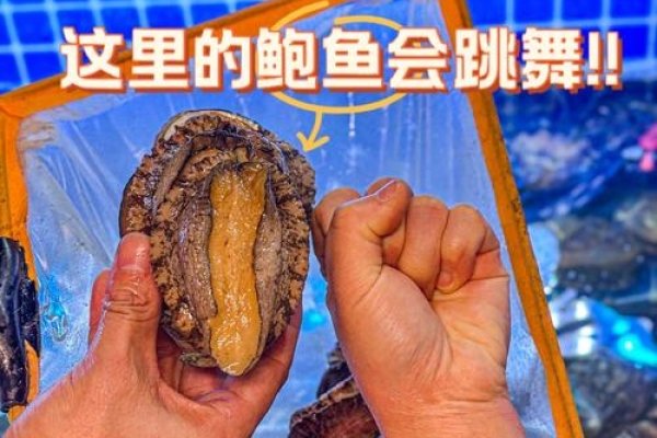 鲍鱼2023地域网名精选-红迪亚