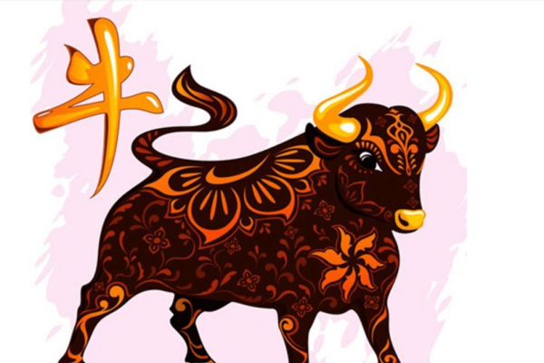 2021年属牛年份解析，金牛命，生肖纪年法详解-红迪亚