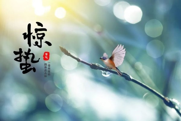 2022年惊蛰节气时间解析-红迪亚