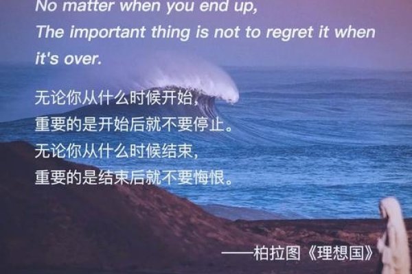 Vanness名字解析，追求更高境界的寓意与音译之旅-红迪亚