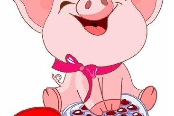 2013年属猪人运势解析-红迪亚