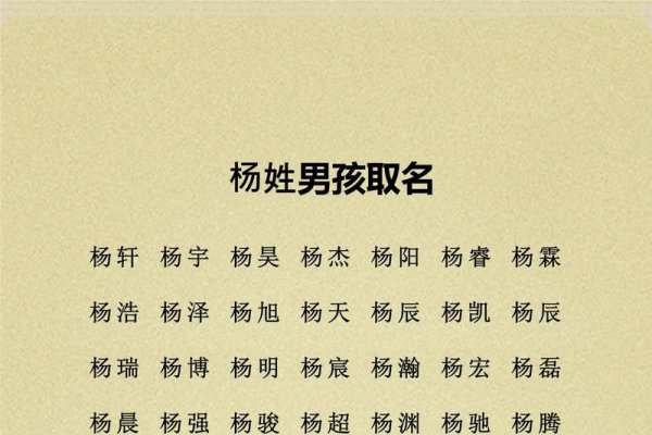 杨姓男孩名字大全及寓意，璀璨珍宝、胸怀宽广的男孩名探索-红迪亚