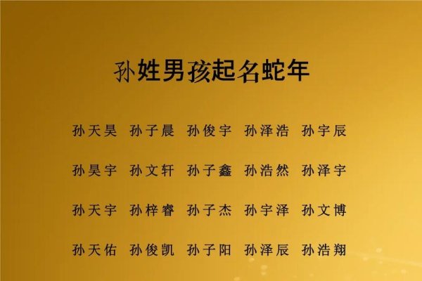 孙姓男孩名字精选，温柔灵动与阳光活力并存-红迪亚