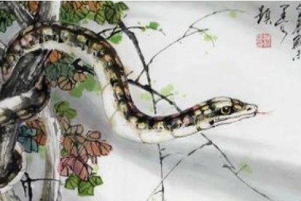 1977年属蛇人的爱情与命运-红迪亚