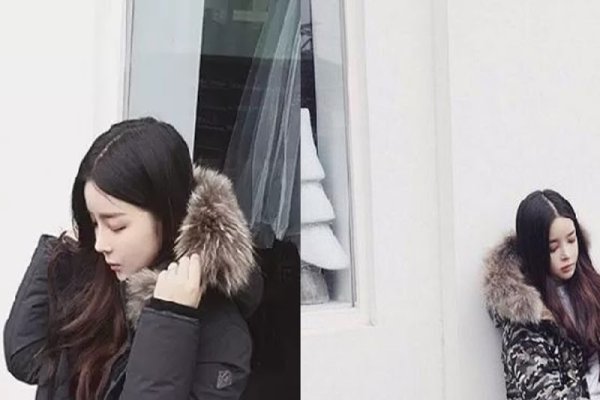 2016年属猪、牛和羊的运势分析，事业波折，情感丰富的一年挑战与机遇并存。-红迪亚