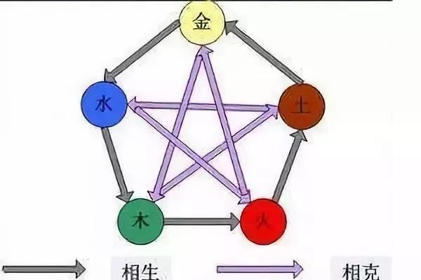 揭秘2023年属相兔五行属性与命运解析-红迪亚