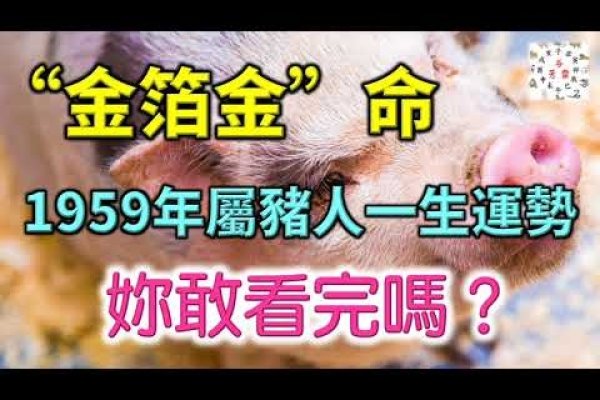 1959年属猪的生肖运势及未来展望，平稳中带挑战，事业稳定且命运和谐-红迪亚