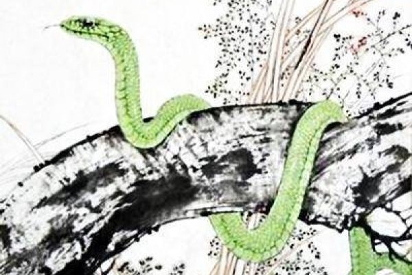 2022年属鼠运势概览，生肖蛇事业运旺盛，属猪财运亨通-红迪亚