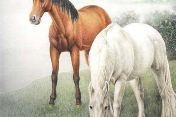 1942年属马年份生肖命理-红迪亚