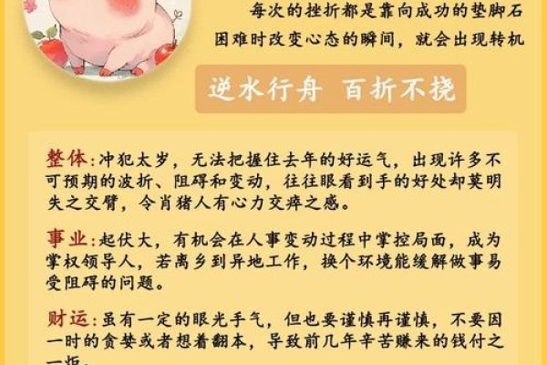 20-30岁属猪人中考运势-红迪亚