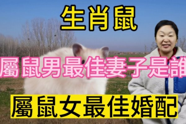 嫌肥挑瘦，最佳生肖揭晓，鼠。-红迪亚