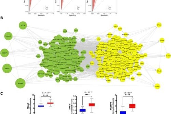 贝努瓦·佩德雷蒂与分形分析软件综述，专业解析与应用标题-红迪亚