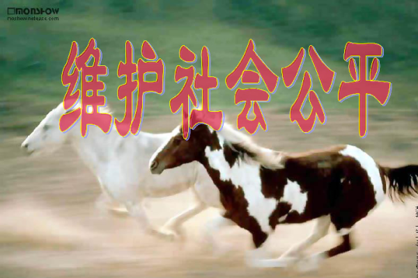 苍蝇碰壁猜生肖，解析鸡、羊与马，或是狗和牛？数字九或寓意深刻。-红迪亚