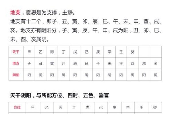 揭秘2023年兔年的奥秘，天干地支与五行解析-红迪亚