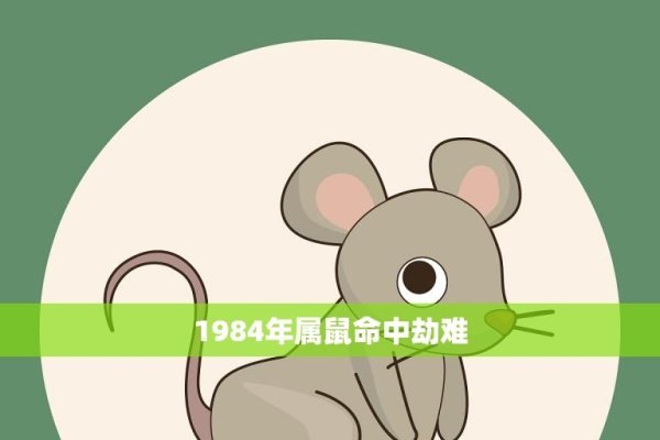 1984年属鼠婚配解析-红迪亚