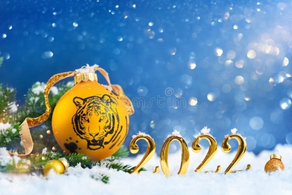 2022年是虎年-红迪亚