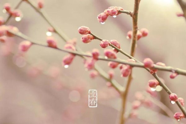2026年立春时间揭晓，双春现象解读。-红迪亚
