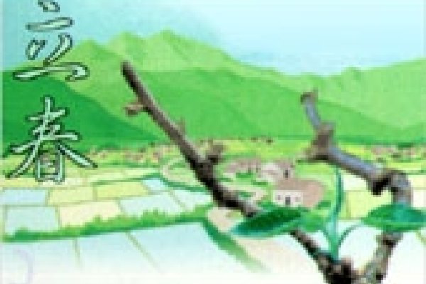 2024立春时刻表-红迪亚