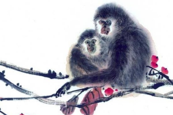 1992年属猴，富猴之命，事业财运双丰收-红迪亚