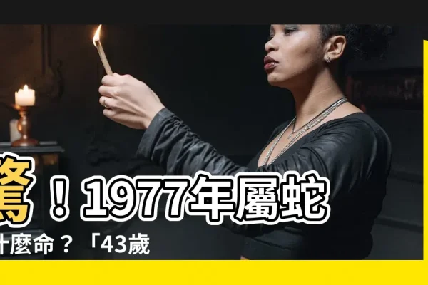 1977年属蛇人43岁运势挑战与化解之道。-红迪亚