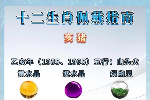 2019年属猪的五行属性解析-红迪亚