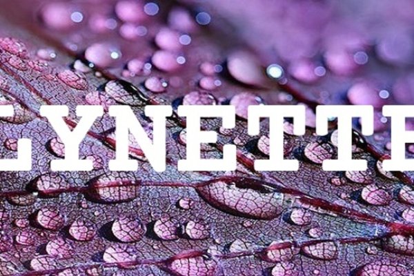 Lynette名字解析与发音-红迪亚