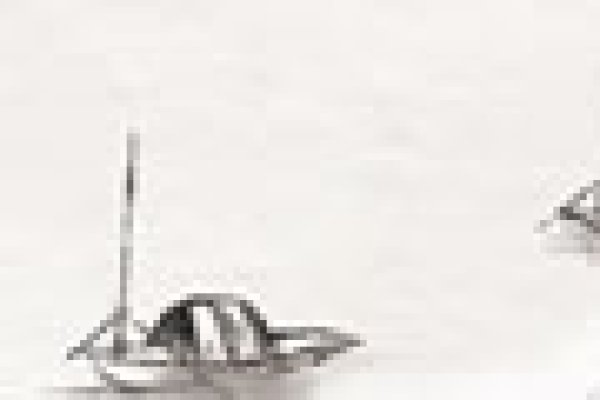 2025年黄道吉日一览表,根据您提供的内容,以下是符合要求的标题,,精选20-30字 1月黄历指南——2025年全年黄道吉日概览-红迪亚