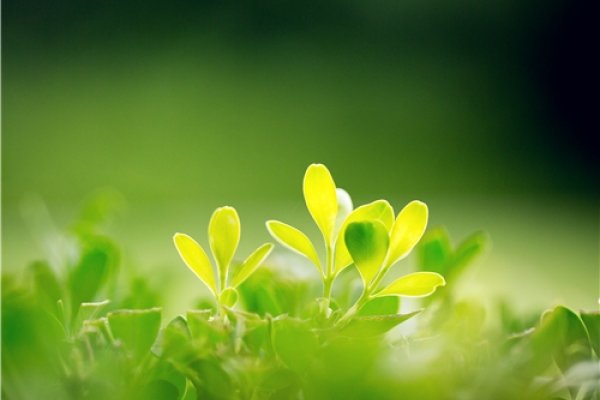 2019年立春的准确时刻-红迪亚