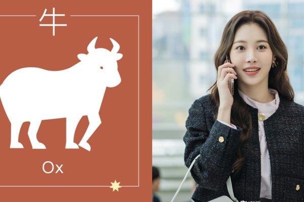 2024属牛要小心一个人-红迪亚