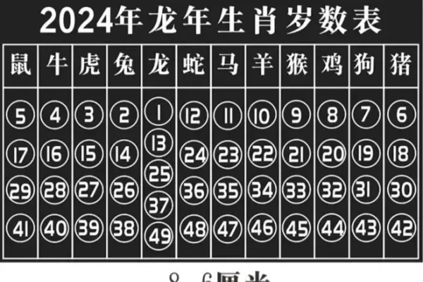 2024生肖49码表揭秘-红迪亚