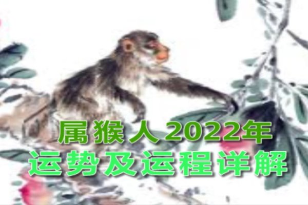 2022年属猴人的转运时刻-红迪亚