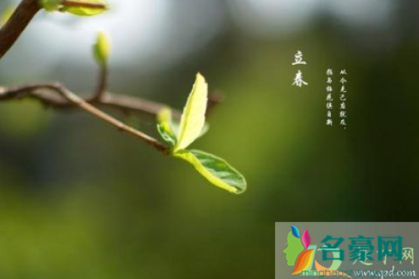 2021年立春躲春的生肖—揭秘生肖运势，掌握躲春技巧-红迪亚