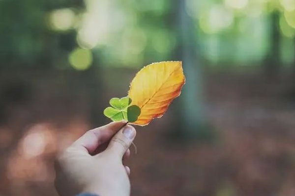 2023年犯太岁如何有效化解-红迪亚