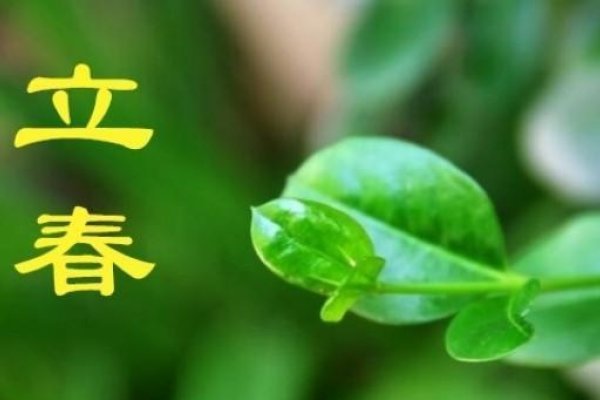 2023年双立春现象，时间的独特印记-红迪亚