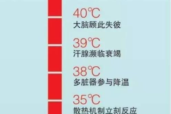 揭秘2023年入伏时间，你需知道的几点-红迪亚