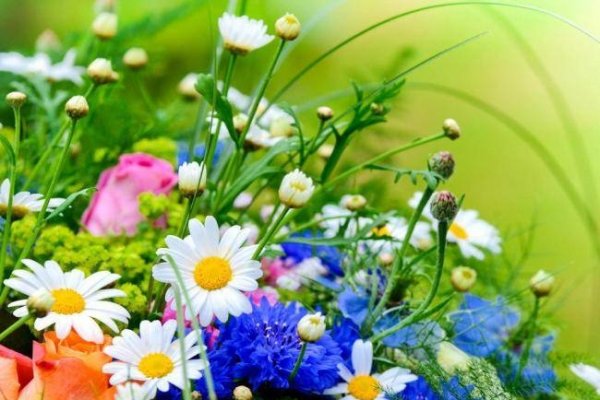 2002年属马女的最佳结婚年龄探讨-红迪亚