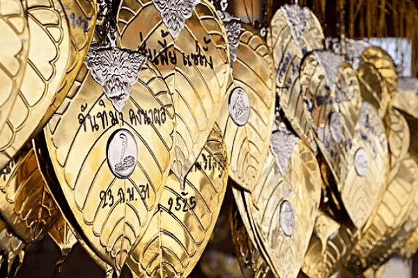 铁树银花映英雄生肖-红迪亚