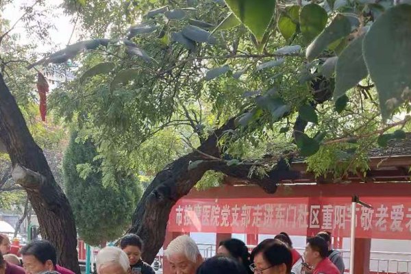 10月节日揭秘，国际盲人节、农村妇女日等庆祝活动在这一天展开-红迪亚