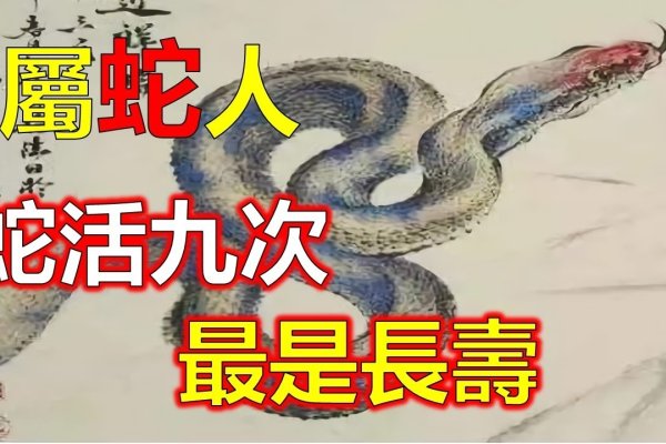 亭亭玉立与生肖，蛇的关联。-红迪亚